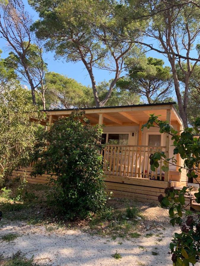 Oaza Mira Mobile Houses - Camp Basko Polje #Bestoffer Башка-Вода Екстер'єр фото